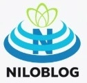 خطرات غواصی با دلفین کیش